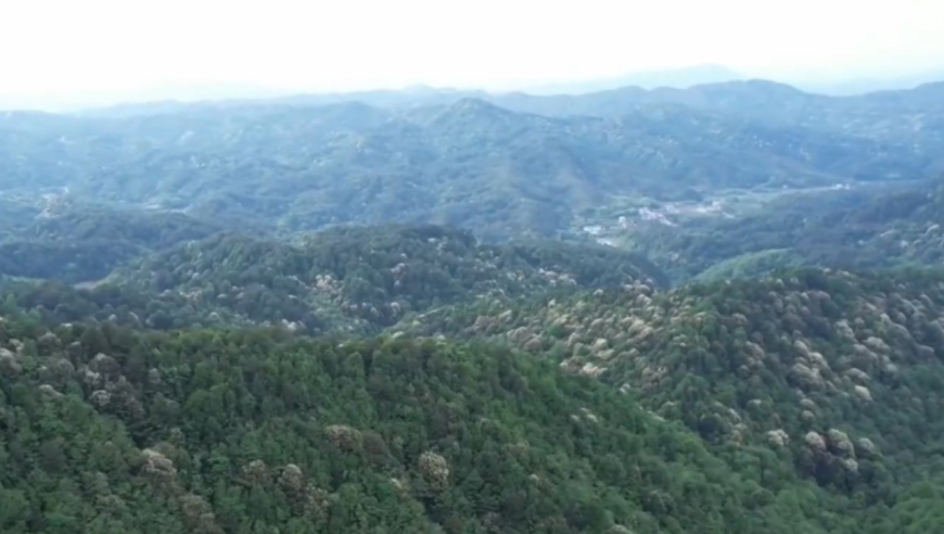 阿联酋AI部长：期待萝卜快跑落地,新澳门开奖结果2025开奖记录查询网站,最佳精选解释落实_移动版V11.56